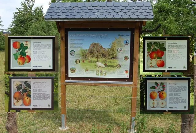Streuobstwiese am Lindenhaus