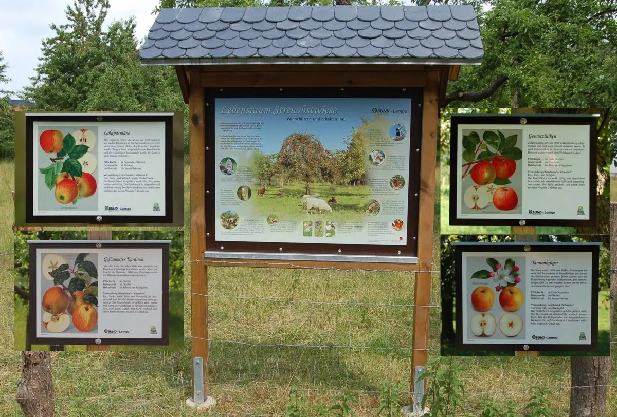 Streuobstwiese am Lindenhaus